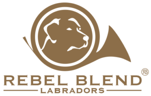 Rebel Blend Labradors