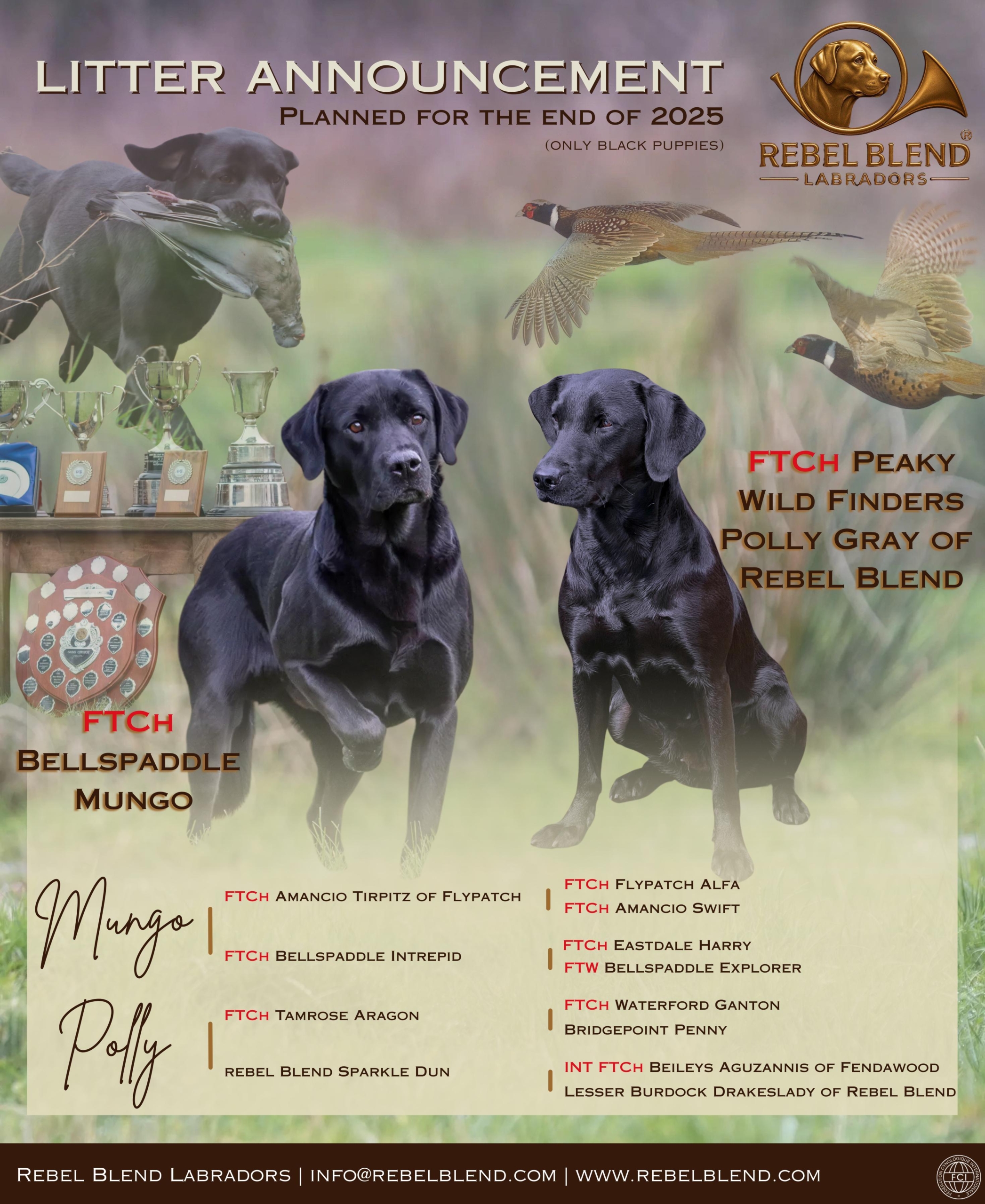 RBL 2025 Mungo & Polly