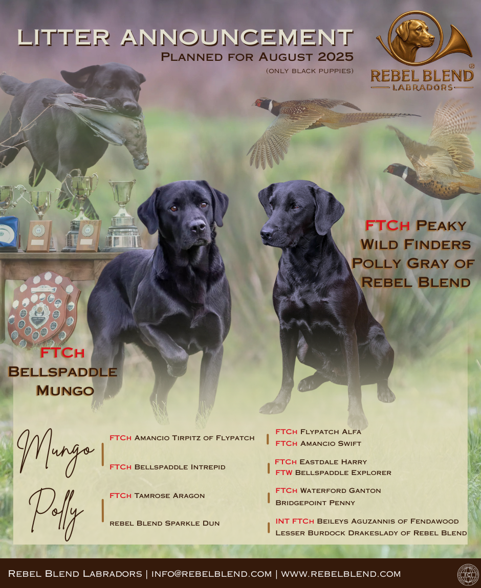 RBL 2025 Mungo & Polly