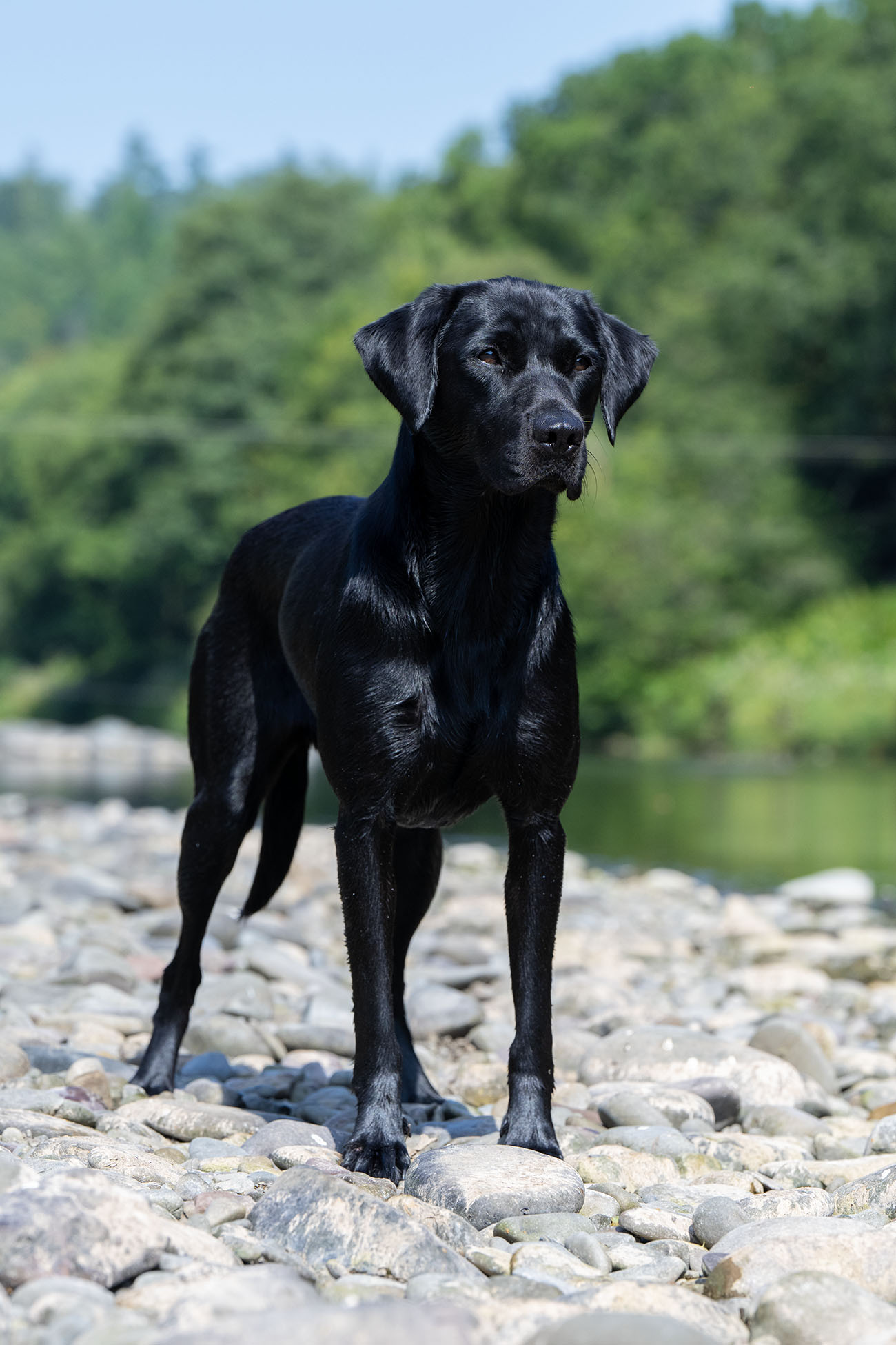 Waterfriend Mocca